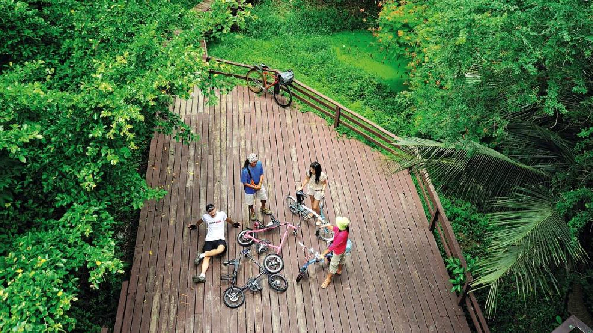 Bangkok Zoo Safari Cycling Tour 2 Days